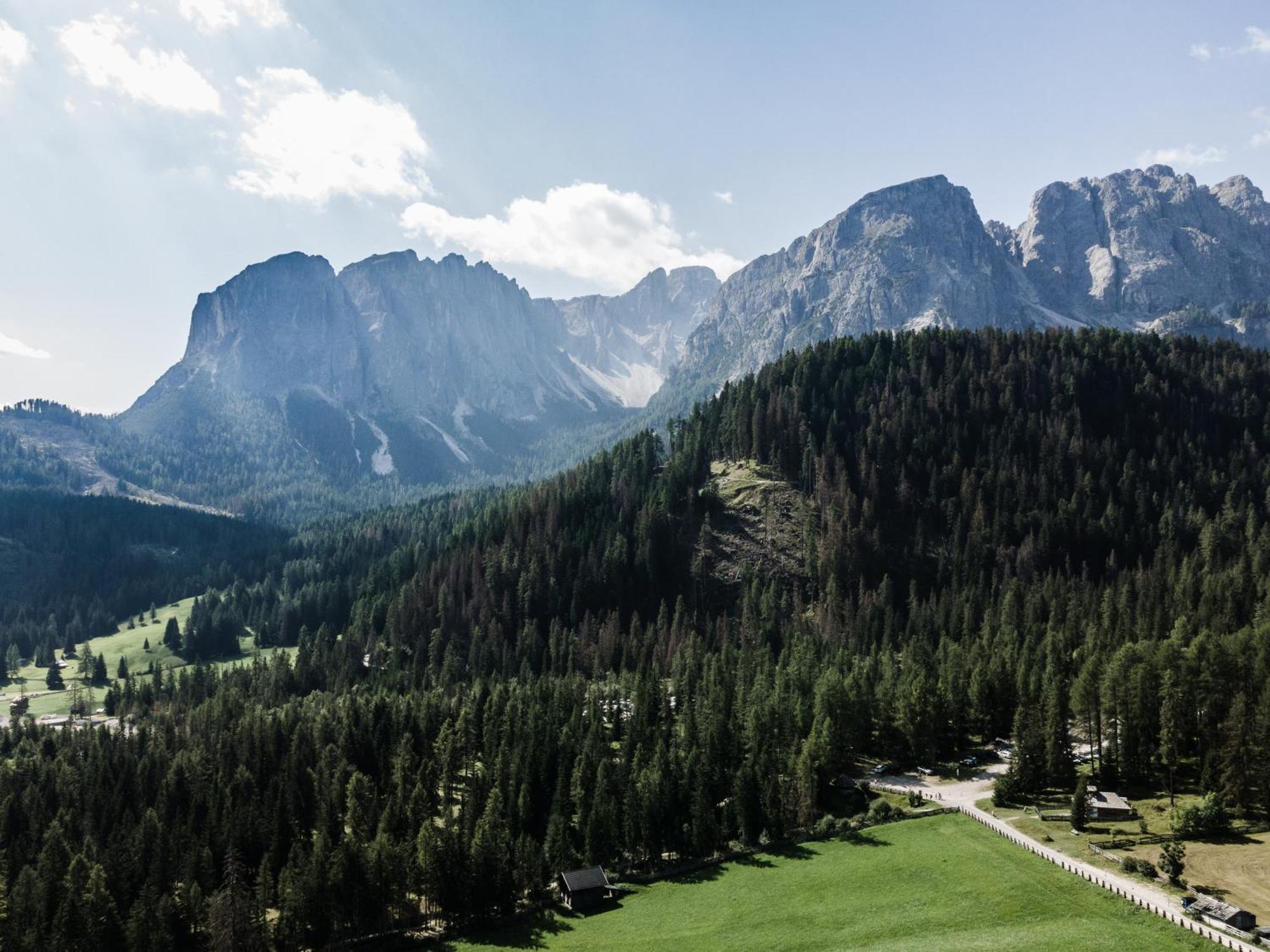 Hotel Pension Odles San Martino in Badia Exterior photo